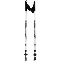 Käimiskepid Best Sporting, 2 tk. price and information | Walking sticks and walking equipment | hansapost.ee