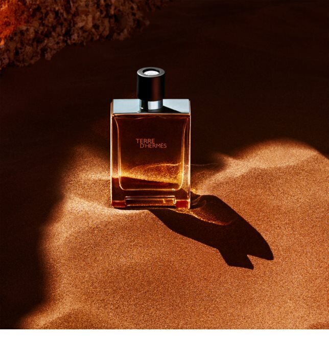 Meeste tualettvesi Hermes Terre d'Hermes EDT, 50 ml hind ja info | Parfüümid meestele | hansapost.ee