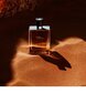 Meeste tualettvesi Hermes Terre d'Hermes EDT, 50 ml price and information | Parfüümid meestele | hansapost.ee