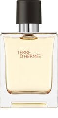 Meeste tualettvesi Hermes Terre d'Hermes EDT, 50 ml hind ja info | Parfüümid meestele | hansapost.ee