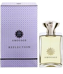 Парфюмированная вода Amouage Reflection Man EDP, 100 мл цена и информация | Мужские духи | hansapost.ee