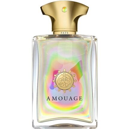 Parfüümvesi Amouage Fate for Men EDP meestele 50 ml цена и информация | Parfüümid meestele | hansapost.ee