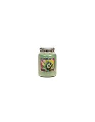 Village Candle Lõhnaküünal klaasis Awaken Limited Edition 602 g hind ja info | Küünlad, küünlajalad | hansapost.ee