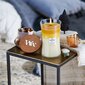 WoodWick Fruits from Summer Trilogy Vase - Summer scented candle 609.5g цена и информация | Küünlad, küünlajalad | hansapost.ee