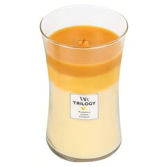 WoodWick Fruits from Summer Trilogy Vase - Summer scented candle 609.5g цена и информация | Свечи, подсвечники | hansapost.ee