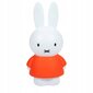 Laste öölamp Miffy, valge hind ja info | Lastetoa valgustid | hansapost.ee