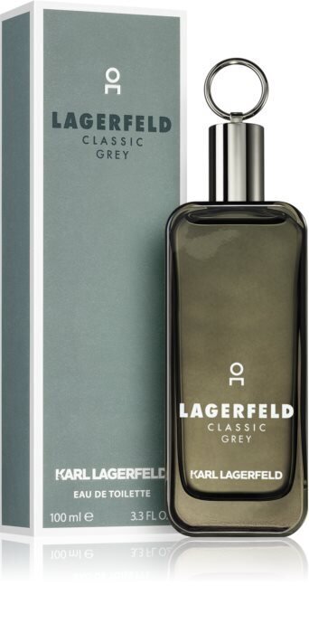 Meeste tualettvesi Karl Lagerfeld Lagerfeld Classic Grey EDT, 100 ml цена и информация | Parfüümid meestele | hansapost.ee