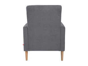 Кресло BRW, Bizu, серый цвет цена и информация | Кресла | hansapost.ee