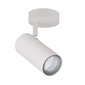 Seinavalgusti Candellux 91-01603 цена и информация | Seinavalgustid | hansapost.ee