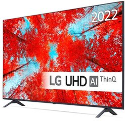 55" 4K LED TV LG 55UQ90003LA цена и информация | Телевизоры | hansapost.ee