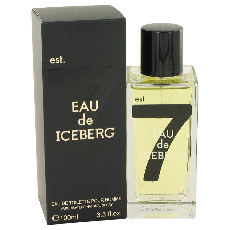 Iceberg Iceberg Eau de Iceberg Homme EDT 100ml цена и информация | Parfüümid meestele | hansapost.ee