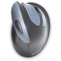 Juhtmevaba vertikaalne hiir YENKEE ERGNOSNUG, 2,4 GHz цена и информация | Компьютерные мыши | hansapost.ee