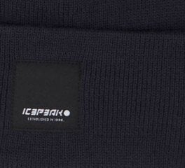 Шапка Icepeak Harcourt 58808-8*390, тёмно-синяя 6438488726305 цена и информация | Мужские шарфы, шапки, перчатки | hansapost.ee