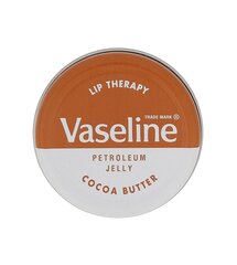 Бальзам для губ Vaseline Cocoa Butter, 20 г цена и информация | Vaseline Духи, косметика | hansapost.ee