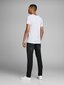 Meeste T-särgid Jack&Jones Jjebasic V-Neck Tee S/S 12059219 hind ja info | T-särgid meestele | hansapost.ee