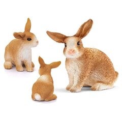 Фигурка кролика Schleich цена и информация | Развивающие игрушки для детей | hansapost.ee