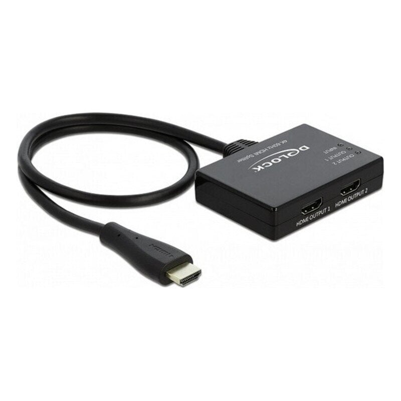 Kaabel DELOCK 87747 цена и информация | USB adapterid ja jagajad | hansapost.ee