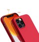 Silicone Case Soft Flexible Rubber Cover for iPhone 12 Pro Max red (Red) цена и информация | Telefonide kaitsekaaned ja -ümbrised | hansapost.ee