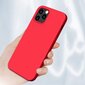 Silicone Case Soft Flexible Rubber Cover for iPhone 12 Pro Max red (Red) цена и информация | Telefonide kaitsekaaned ja -ümbrised | hansapost.ee