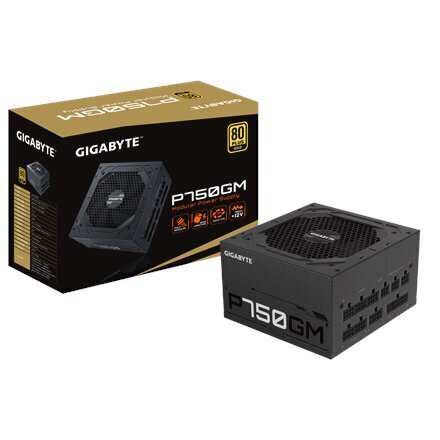 Gigabyte GP-P750GM цена и информация | Toiteplokid | hansapost.ee