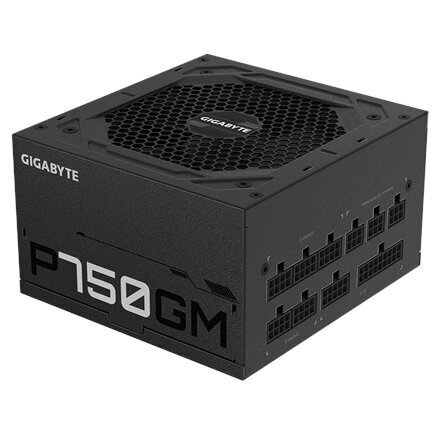 Gigabyte GP-P750GM цена и информация | Toiteplokid | hansapost.ee