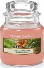Yankee Candle The Last Paradise Candle - Scented candle 104.0g hind ja info | Küünlad, küünlajalad | hansapost.ee