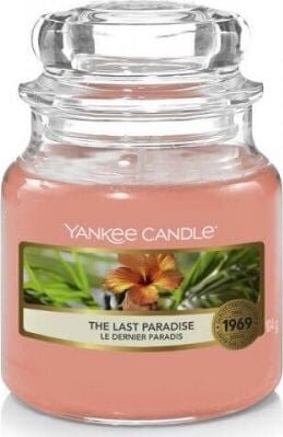 Yankee Candle The Last Paradise Candle - Scented candle 104.0g цена и информация | Küünlad, küünlajalad | hansapost.ee