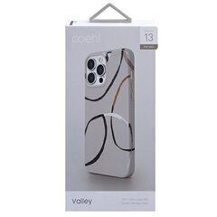 Uniq case Coehl Valley iPhone 13 Pro Max 6.7 &quot;sand / soft sand цена и информация | Чехлы для телефонов | hansapost.ee