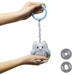 Мягкая игрушка BabyOno Сова София, 442 цена и информация | Игрушки для малышей | hansapost.ee