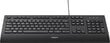 Logitech 920-008669 цена и информация | Klaviatuurid | hansapost.ee