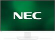 NEC 60004650 hind ja info | Monitorid | hansapost.ee