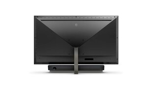 Philips 558M1RY/00, 55" цена и информация | Мониторы | hansapost.ee