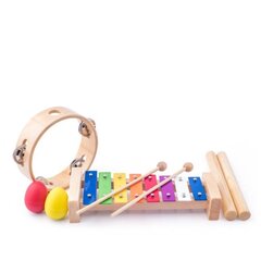 Набор деревянных музыкальных инструментов Woody, 91894 цена и информация | Развивающие игрушки для детей | hansapost.ee