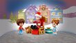 41706 LEGO® Friends advendikalender цена и информация | Klotsid ja konstruktorid | hansapost.ee