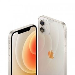 Apple iPhone 12 64GB White MGJ63ET/A hind ja info | Telefonid | hansapost.ee