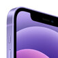 Apple iPhone 12 128GB Purple MJNP3ET/A hind ja info | Telefonid | hansapost.ee