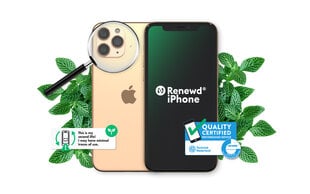 Renewd® iPhone 11 Pro 64GB Gold цена и информация | Мобильные телефоны | hansapost.ee