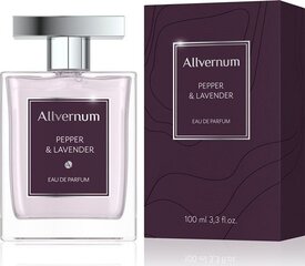 Parfüümvesi Allverne Pepper & Lavender EDP meestele 100 ml цена и информация | Мужские духи | hansapost.ee