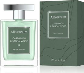 Parfüümvesi Allverne Cardamom & Sandalwood EDP meestele 100 ml hind ja info | Parfüümid meestele | hansapost.ee