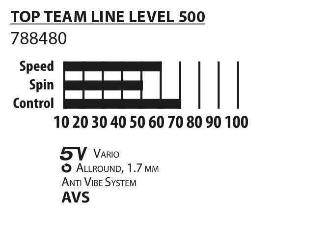 Lauatennise komplekt Donic-Schildkrot Team 500 hind ja info | Pingpongi/lautennise reketid ja reketi kotid | hansapost.ee