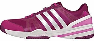 Кроссовки для тенниса Adidas M19763 цена и информация | Обувь для большого тенниса | hansapost.ee