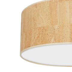 Milagro laevalgusti Cork price and information | Ceiling lamps | hansapost.ee