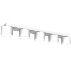 Настенный светильник DIXIE WHITE 1xGX53 цена и информация | Потолочные светильники | hansapost.ee