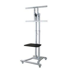 NewStar Mobile Flatscreen Floor Stand - (height: 80-180 cm) hind ja info | Teleri seinakinnitused ja hoidjad | hansapost.ee