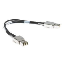 Жесткий сетевой кабель UTP кат. 6 Cisco Stack-T1 цена и информация | Кабели и провода | hansapost.ee