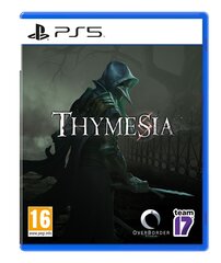 Thymesia Playstation 5 PS5 mäng цена и информация | Компьютерные игры | hansapost.ee