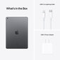 Apple iPad 2021 (256 GB) WiFi + LTE MK4E3FD/A hind ja info | Tahvelarvutid | hansapost.ee