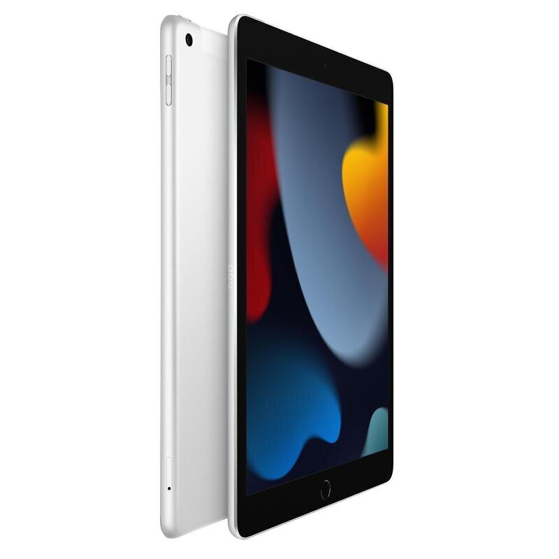 Apple iPad 2021 (256 GB) WiFi + LTE - MK4H3 цена и информация | Tahvelarvutid | hansapost.ee