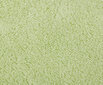 Tekstiilikompanii froteerätik Monaco, heleroheline, 50 x 100 cm hind ja info | Rätikud ja saunalinad | hansapost.ee