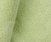 Tekstiilikompanii froteerätik Monaco, heleroheline, 50 x 100 cm hind ja info | Rätikud ja saunalinad | hansapost.ee